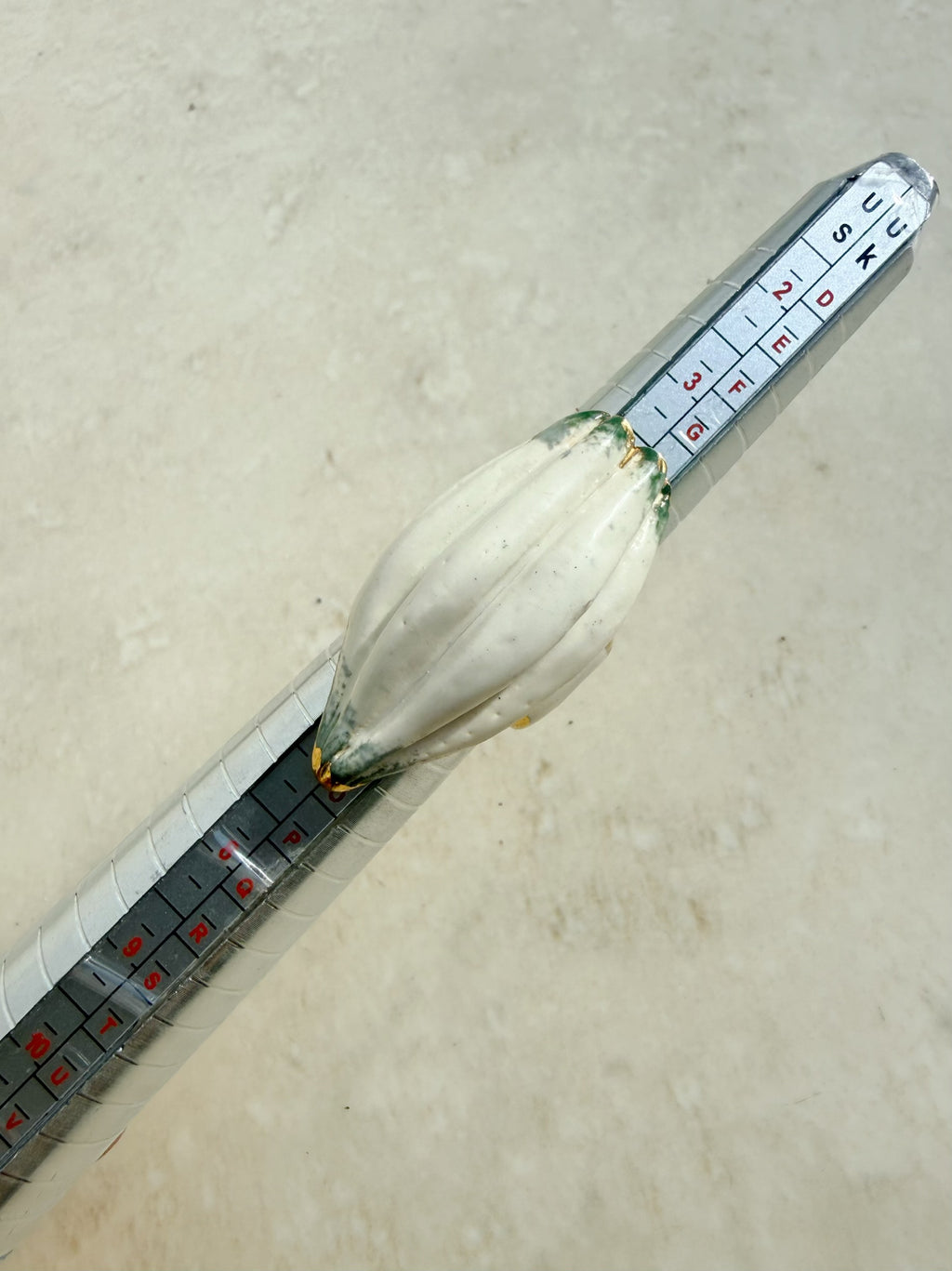 White Cocoa Pod Ring ( seconds sale )