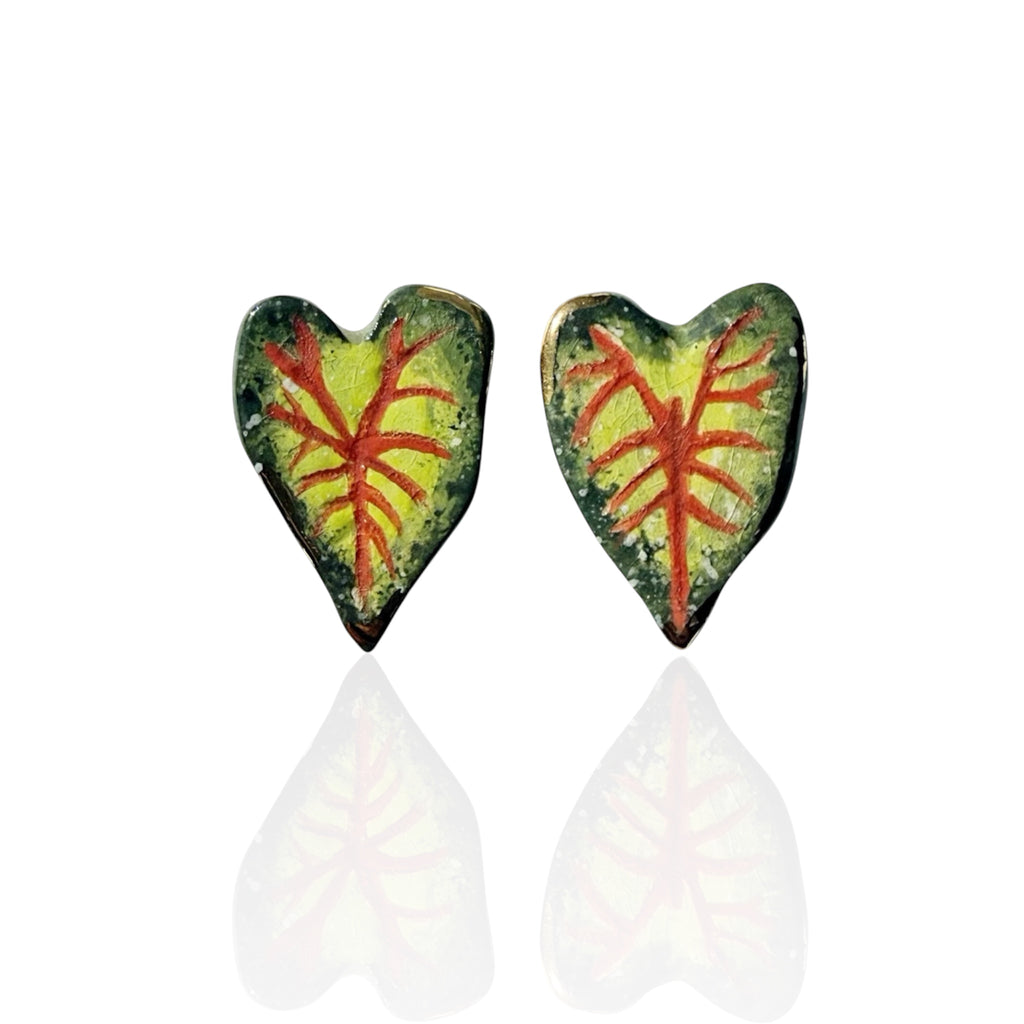 Caladium Studs